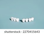 Small photo of A model of teeth on a blue background with a missing front tooth . The problem of tooth loss. Daily care and oral hygiene