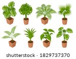 isometric plant  palm trees in... | Shutterstock .eps vector #1829737370