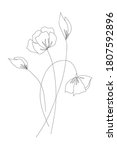 minimalism line drawing. flower ... | Shutterstock .eps vector #1807592896