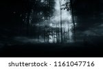 Dark Mysterious Woods Background