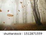 falling leaves blowing in the wind in autumn forest landscape