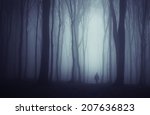 Spooky Dark Forest With...