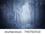 fantasy forest with snow falling in winter