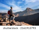 Traveler hiking  with backpacks. Hiking in mountains. Sunny landscape. Tourist traveler on background view mockup. High tatras , Poland