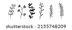 doodle flower sketch. floral... | Shutterstock .eps vector #2155748209