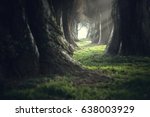 creepy mystic magic deep forest