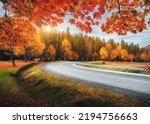 Road in autumn forest at sunset. Beautiful empty mountain roadway, trees with red and orange foliage. Colorful landscape with road through the woods in fall. Travel. Road trip. Transportation. Season
