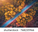 Aerial view of road in beautiful autumn forest at sunset. Beautiful landscape with empty rural road, trees with red and orange leaves. Highway through the park. Top view from flying drone. Nature