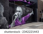 Small photo of Dublin, Ireland - August 3 2023 A mural of Irish music legend Sinead O'Connor appears on South Great George's Street, Dublin, following the death of the singer last week Mural by Emmalene Blake