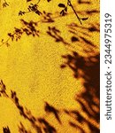 Small photo of shadows of plants on a yellow-brown background. yellow and black background naturalistic image. a place for writing in the shade of a branch