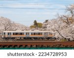 Small photo of A train of JR Takayama Main Line dashing thru a bridge over Shinsakai River and cherry blossom (Sakura) trees blooming under blue sunny sky on a beautiful spring day, in Kakamigahara-shi, Gifu, Japan