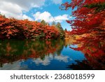 Small photo of Fall scenery of Kumoba-ike 雲場池 Pond surrounded by fiery maple trees under blue sky, with beautiful reflections in the peaceful water on a sunny autumn day, in Karuizawa 軽井沢, Nagano Prefecture, Japan