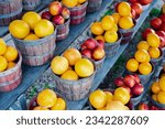 Small photo of Honeybell oranges, Navel orange, wide variety of peaches on shelves display at roadside market stand in Santa Rosa, Destin, Florid, homegrown fruits summer harvest stall. Organic food local grow