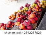 Small photo of Fresh picked peaches and plums in wooden basket on shelves display at roadside market stand in Santa Rosa, Destin, Florid, homegrown fruits summer harvest stall. Organic food local market