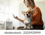 Small photo of Side view of female owner of pembroke welsh corgi dog using cellphone while sitting in the hall of veterinary clinics and waiting for checkup, free space