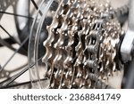 Bicycle bike rear derailleur gear cassette chain.