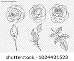 rose vector set by hand drawing.... | Shutterstock .eps vector #1024431523