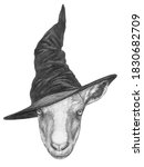 Portrait Of Goat With A Witch...