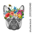 Portrait Of French Bulldog With ...