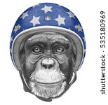 Portrait Of Monkey With Helmet. ...