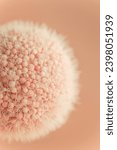 Small photo of Macro shot of furry abstract ball colored in Peach Fuzz - color of the year 2024.