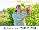 Smiling woman holding bunch of pink grapes, vineyard background
