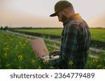 An agronomist inspects rapeseed crops growing on a farm. The concept of agricultural production. A farmer with a laptop in a rapeseed field at sunset.