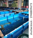 Small photo of Blue rectangular fish tank complete with water filter and water system. Indoor fish hatchery. Reservoir tank. Malaysia. April 2021