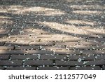 Small photo of Rough sidewalk tile and gentle covered with fallen petals of cherry blossoms, covered by petals of sakura tree. Selective focus. Concept of spring, transience, time, contrasts, antithesis