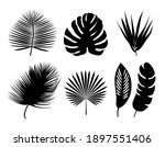 set of palm leaves silhouette.... | Shutterstock .eps vector #1897551406