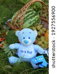 Small photo of Blue soft misha on a background of herbs and fruits. Bear with the inscription "it's a boy".