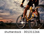 Mountain Bike cyclist riding single track outdoor