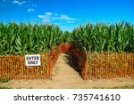 The Entrance To A Corn Maze
