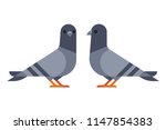 Two Cartoon Pigeons In Modern...