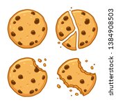 Traditional chocolate chip cookies. Bitten, broken, cookie crumbs. Cartoon vector illustration set.