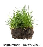 Grass  Soil And Grass Isolated...