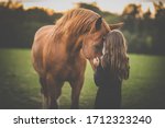 Cute little girl with her horse on a lovely meadow lit by warm evening light
