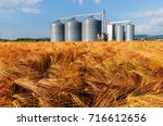 Silos in a barley field. Storage of agricultural production.