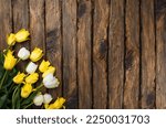 Yellow and white tulips on a dark wooden background with space for a copy. Spring card, background for text, congratulations for the holiday Mother's Day, Valentine's Day, March 8, birthday.