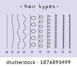 hair types hair transition... | Shutterstock .eps vector #1876893499