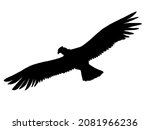 Silhouette Of Flying Condor On...