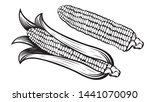 Corn Cobs Illustration. Sweet...