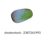 Small photo of Ash gourd isolated on a white background. (White gourd, Winter gourd or Ash gourd)