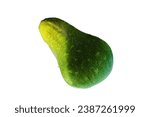 Small photo of Ash gourd isolated on a white background. (White gourd, Winter gourd or Ash gourd)