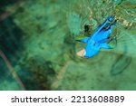 Dory fish is swimming in the water. A Pacific Blue Tang Fish