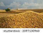 Small photo of The most produced grain in the country, Brazilian soy stands out for its competitiveness on the international market. But to stand out in oilseed production, it is necessary to have productivity