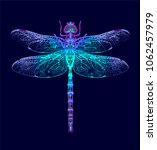 Dragonfly. Vector Seamless...