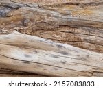 Close-up of a dry tree trunk with an intricate pattern of structure exposed to atmospheric influences. Beautiful texture of old wood.