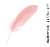 Beautiful Coral Pink Feather...