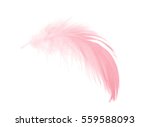 Coral Pink Feather Isolated On...